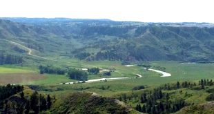 Car Insurance In Judith Basin Mt Dans Fergus County, Montana - Detention Center Roster