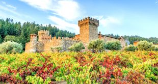 Car Insurance In Napa Ca Dans Napa Valley with Kids Things to Do for A Family Trip