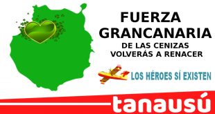 Cheap Vpn In Moore Tx Dans Canariasweed – Prar Marihuana En Las Palmas De Gran Canaria En