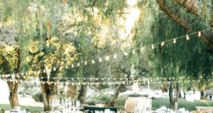 Polk or Car Accident Lawyer Dans 30 Natural Outdoor Vineyard Wedding Ideas