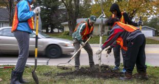 Small Business software In Linn Ks Dans Linn County Tree Equity Program Breaks Barriers to Replanting ...