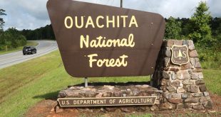 Small Business software In Ouachita Ar Dans Ouachita National forest Gets Funding to Preserve Endangered Species