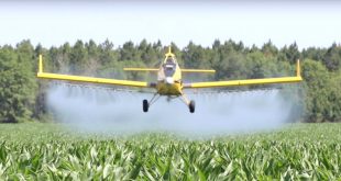 Tallahatchie Ms Car Accident Lawyer Dans Pilot Survives Crop Duster Crash In Mississippi