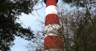 Car Insurance In York Va Dans assateague Lighthouse In Chincoteague island Va Parent Reviews