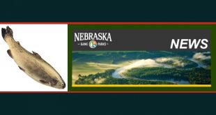 Car Rental software In Custer Ne Dans Game and Parks Announces Stocking Schedule for Rainbow Trout ...