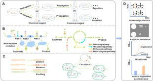 Cheap Vpn In Morrow Oh Dans Research Progress Of Pathway and Genome Evolution In Microbes ...