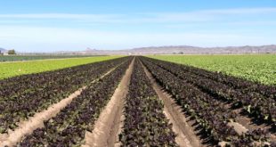 Cheap Vpn In Pinal Az Dans Colorado River Drying Up Could Affect Food Prices - Precaliga