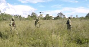 Cheap Vpn In Prairie Mt Dans Rwanda's War Nearly Destroyed This Park. now It's Coming Back.