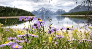 Cheap Vpn In Teton Id Dans Grand Teton National Park