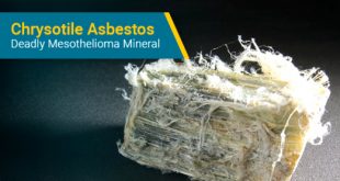 New orleans Mesothelioma Lawyer Dans Chrysotile asbestos: Deadly Mesothelioma Mineral Mesothelioma Guide