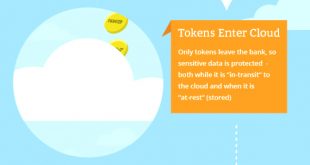 Small Business software In Chesapeake Va Dans tokenization Infographic How to Ward F Hackers