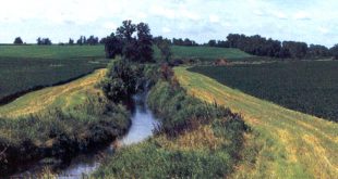 Small Business software In Lyon Mn Dans Board Of Water and soil Resources Grant Benefits Dam Project In ...