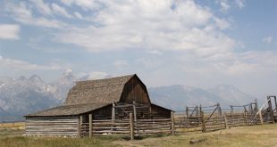 Car Accident Lawyer In Teton Id Dans Wildlife Watching In Grand Teton and Yellowstone National Parks