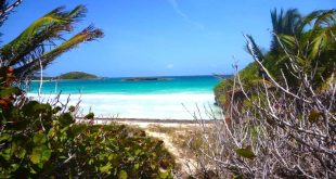 Car Rental software In Vieques Pr Dans the Complete Vieques island Destination Guide