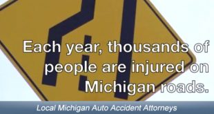 Michigan Dog Bite Lawyer Dans Michigan Car Accident Lawyer 877 737 8800