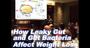 Personil Injury Lawyer In Hunt Tx Dans How Gut Bacteria Affect Obesity and Belly Fat