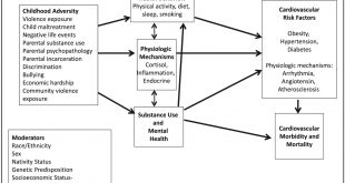 Cheap Vpn In Mccook Sd Dans Childhood and Adolescent Adversity and Cardiometabolic Outcomes: A ...