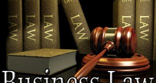 Divorce and Criminal Lawyer Dans Business Law Legal Help Legal Help Lawyers