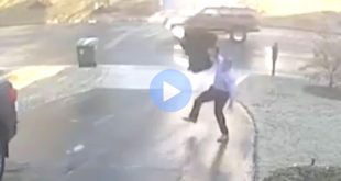 Slip & Fall Accident Lawyer New York Dans Try Not to Laugh as This Man Slips Ice and Down His Entire Driveway