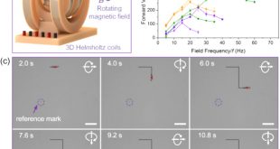 Cheap Vpn In Bath Ky Dans Cus Nanodots-loaded Biohybrid Magnetic Helical Microrobots with ...