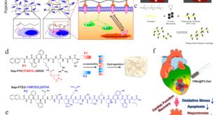 Cheap Vpn In Meade Sd Dans Gels Free Full-text Research Advances Of Injectable Functional ...