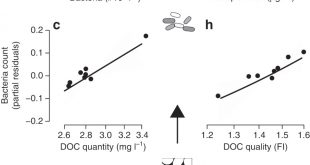 Cheap Vpn In Ramsey Nd Dans forests Fuel Fish Growth In Freshwater Deltas Nature Communications