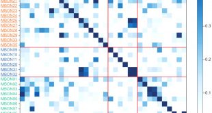 Cheap Vpn In Campbell Sd Dans the Connectome Of the Adult Drosophila Mushroom Body Provides ...