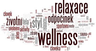 Personil Injury Lawyer In Laramie Wy Dans Wellness Za Zdmi Wellness Center - Wellness Blog - Wellcome.cz