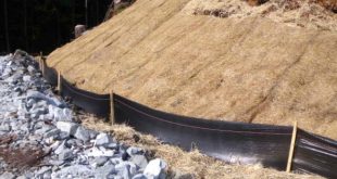 Cheap Vpn In Sherman or Dans Cheap Erosion Control