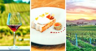 Vpn Services In sonoma Ca Dans 19 Fabulous Things to Do In Napa Valley, California