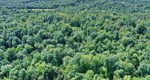 Cheap Vpn In Metcalfe Ky Dans Metcalfe County, Ky Land for Sale - 48 Properties - Landsearch