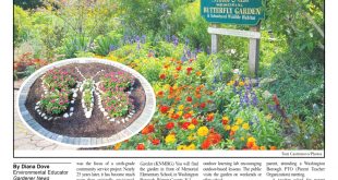 Vpn Services In Cumberland Nj Dans Gardener News October 2021 by Gardener News - issuu