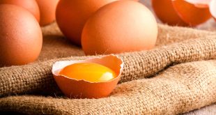 Vpn Services In Hemphill Tx Dans How to Choose Eggs â Fruitfield Farming