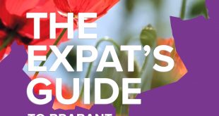 Personil Injury Lawyer In Phillips Mt Dans the Expat's Guide to Brabant: Summer/autumn 2022 Edition by ...