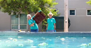 Personil Injury Lawyer In Patillas Pr Dans Things We Did today...: Manatees and Friends